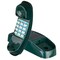 Playberg Kids Gym Playground Playhouse Toy Phone Set, Green Swing Set Accessories Cordless Play Telephone QI004565.GN - alternate 1